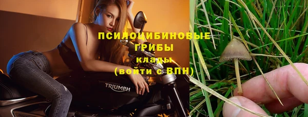 стафф Баксан